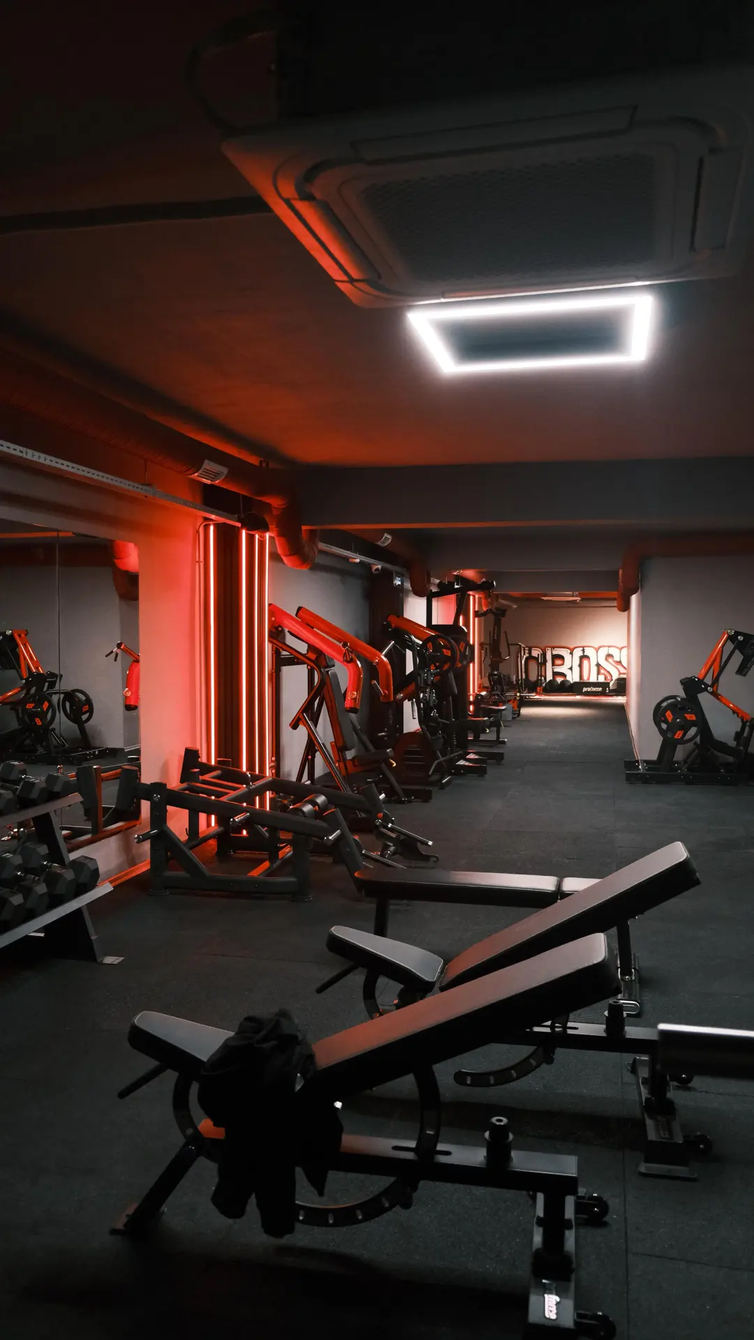 Fitness & Bodybuilding