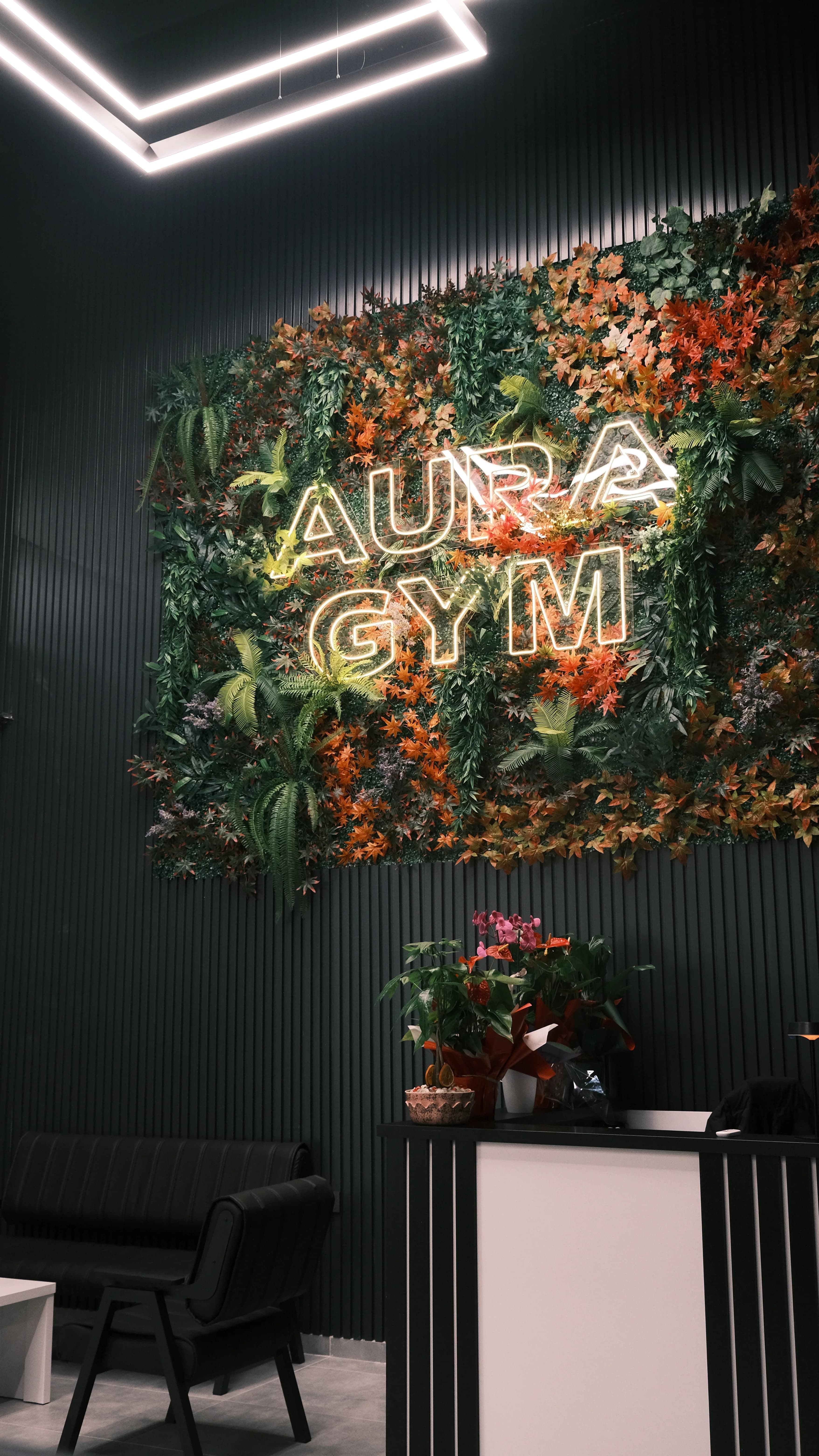 Aura Gym Detail