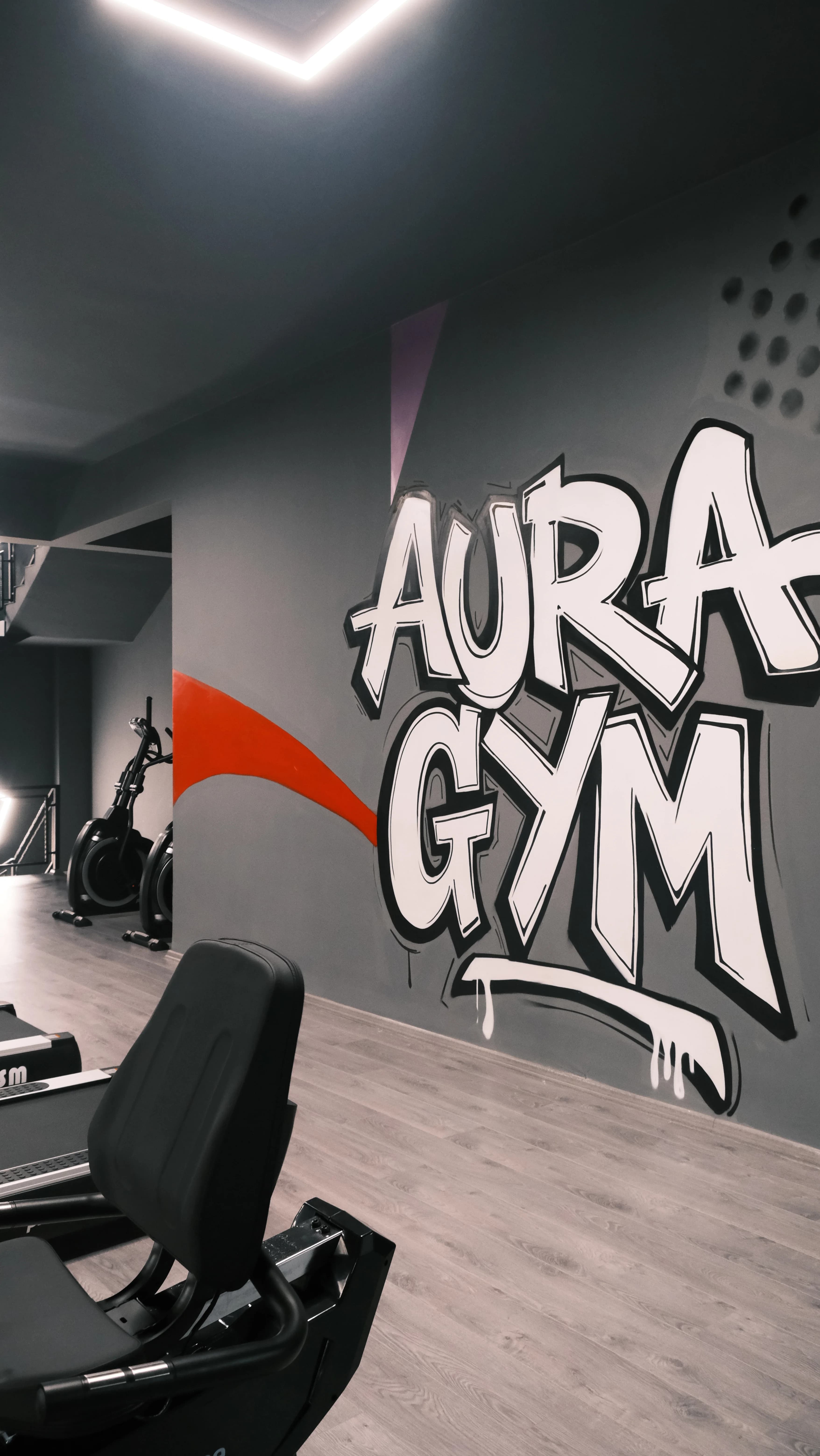 Aura Gym View