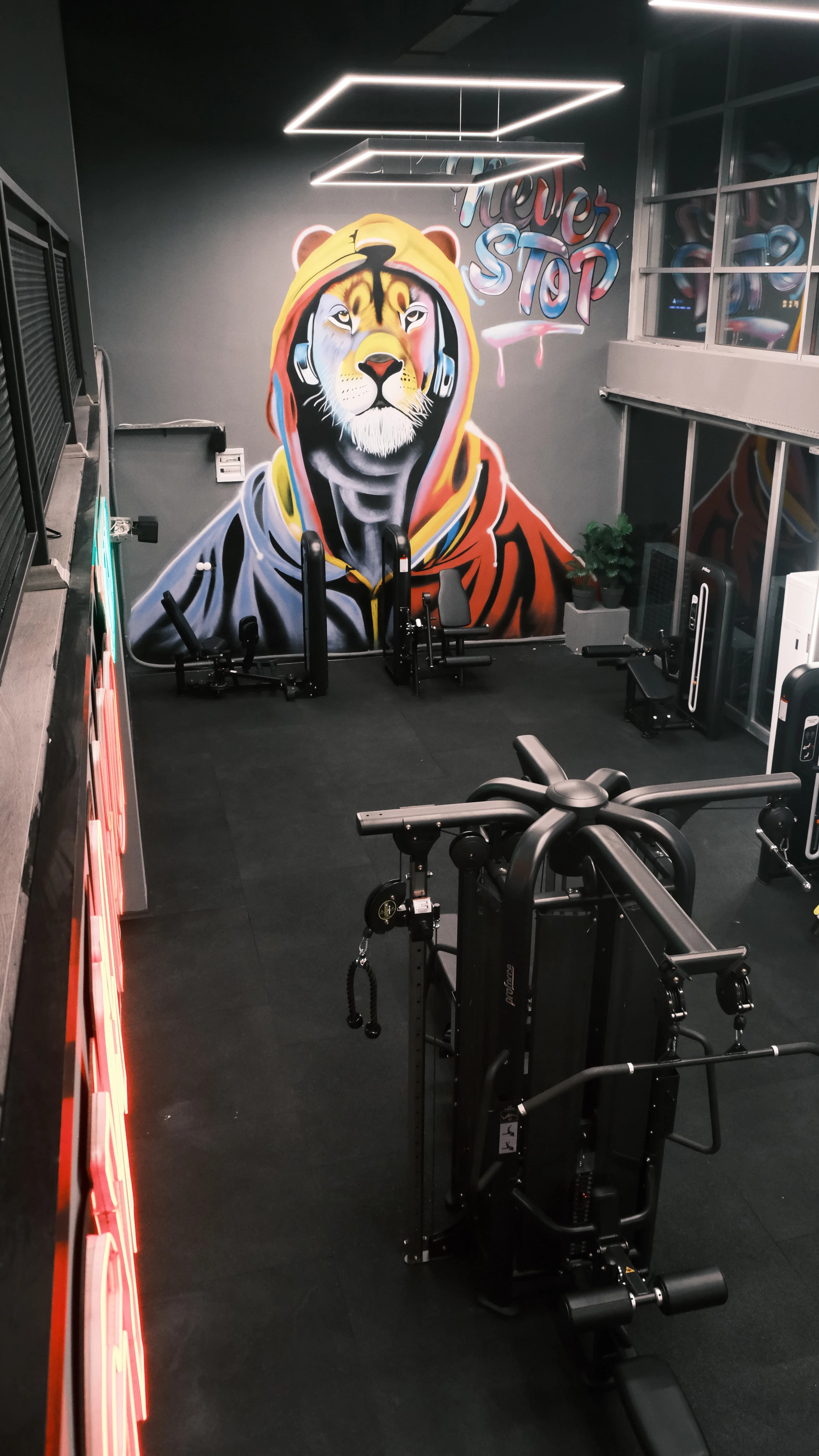 Aura Gym Focus